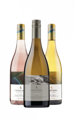 product-page-bottle-shot—lakeside-sippers