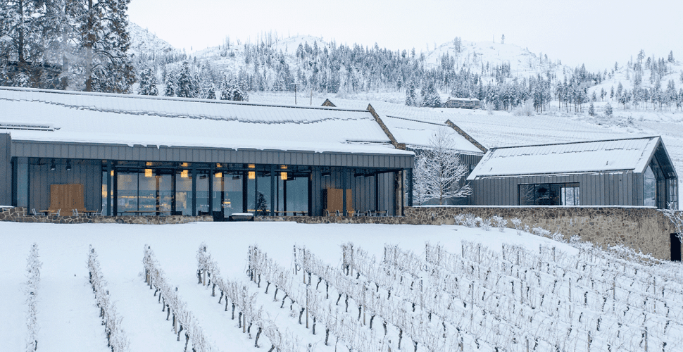 CedarCreek Estate Winery Winter Views