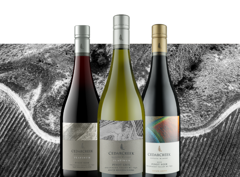 Specialty Corporate Gifting Okanagan Wine Set