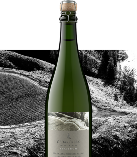 Sparkling Chenin Blanc
