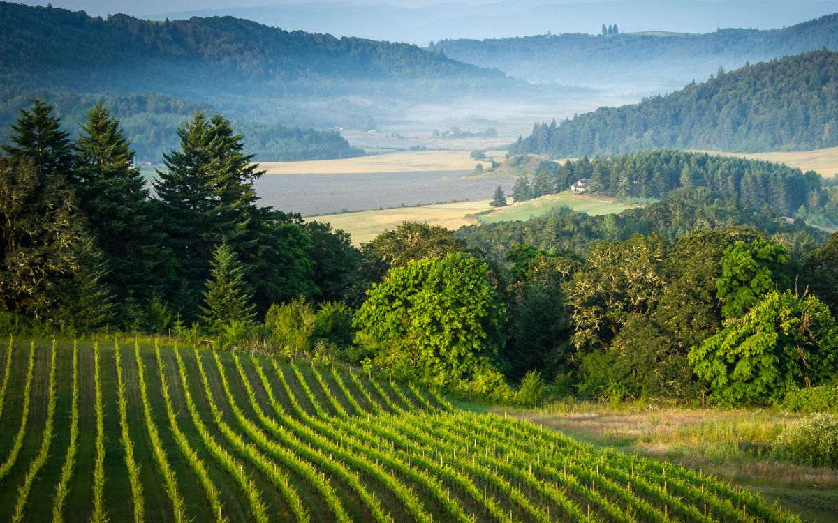 CedarCreek Estate Winery Oregon Growing Partners