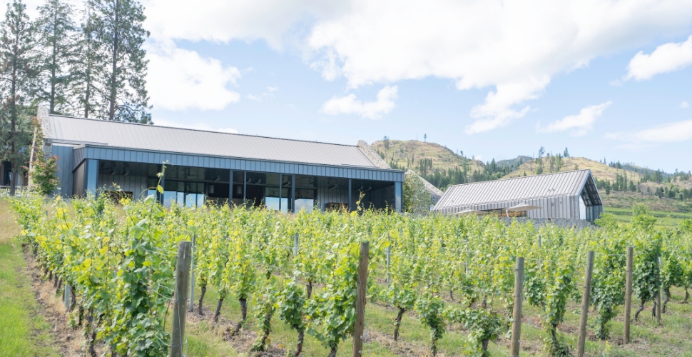 Summer at Home Block Restaurant as it overlooks the Cedar Creek Winery estate vineyard